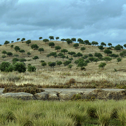 Sapal de Castro Marim (Portugal, Algarve). Sapal de Castro Marim (Portugal, Algarve).