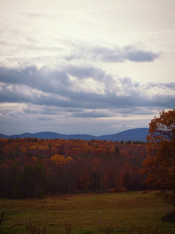 spectacular autumn