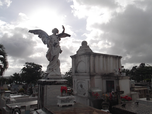 L'ange interdit / The forbidden angel