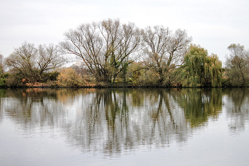 Main bei Hanau