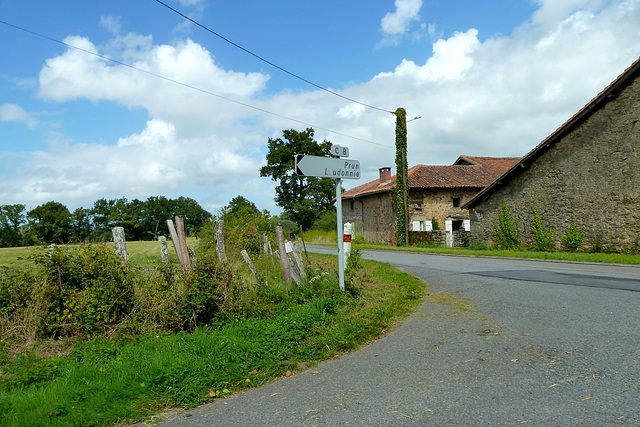 Laudonie 2014 – Crossing