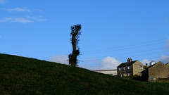 Green Pylon