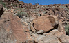 Corn Springs CA petroglyphs (0565)