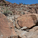 Corn Springs CA petroglyphs (0565)