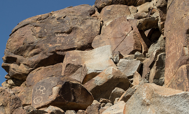 Corn Springs CA petroglyphs (0569)