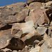 Corn Springs CA petroglyphs (0569)