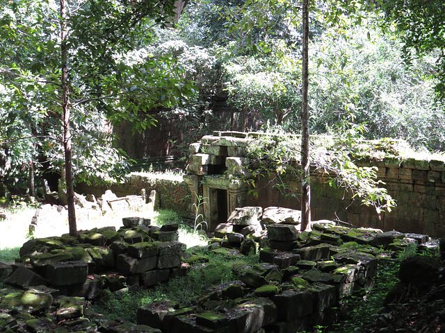 Ruines envahies par la jungle entre Baphuon et le Phimeanakas.