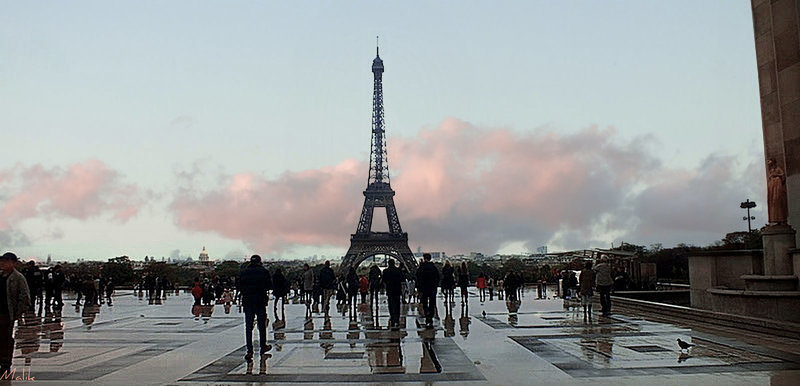 Photo de Malik.