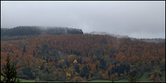 novembre en montagne auvergnate  (3)