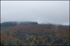 novembre en montagne auvergnate  (2)