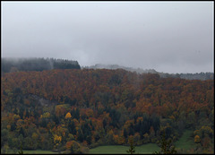 novembre en montagne auvergnate  (4)