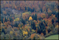 novembre en montagne auvergnate