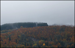 novembre en montagne auvergnate  (5)