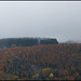 novembre en montagne auvergnate  (5)