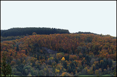 novembre en montagne auvergnate  (9)