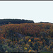 novembre en montagne auvergnate  (9)