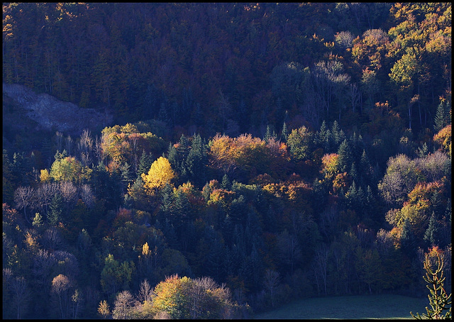 novembre en montagne auvergnate  (8)