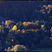 novembre en montagne auvergnate  (8)