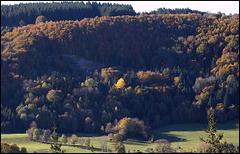 novembre en montagne auvergnate  (6)