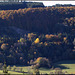 novembre en montagne auvergnate  (6)