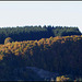 novembre en montagne auvergnate  (7)