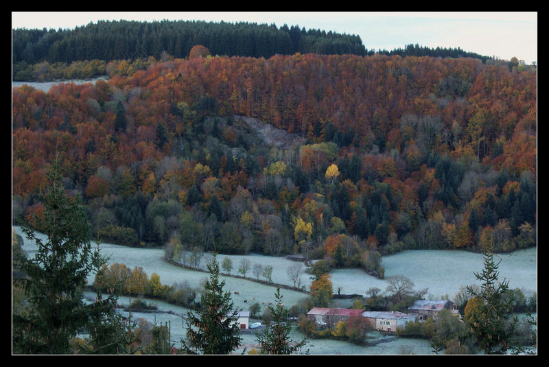 novembre (3)