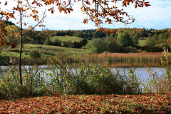 Landschaft bei Ulrichshusen