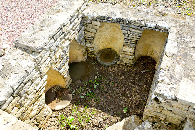 Alise-Sainte-Reine 2014 – Gallo-Roman town – Cellar with amphora niches