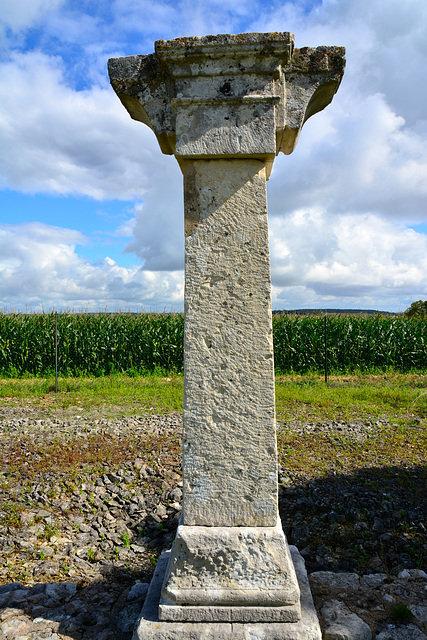 Alise-Sainte-Reine 2014 – Gallo-Roman town – Pillar