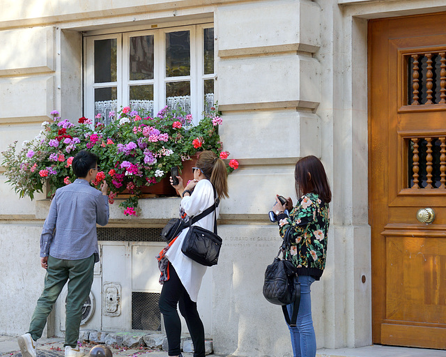 Windowbox and tourists