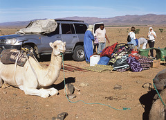 at the starting point,stone desert, Souss-Massa-Draâ, Marokko