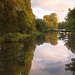 Herbst an der Oker