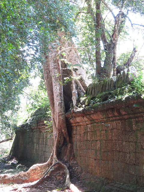 Preah Khan : la 4e enceinte vue de l'intérieur.