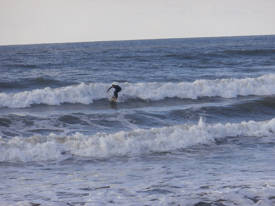 Brave surfer