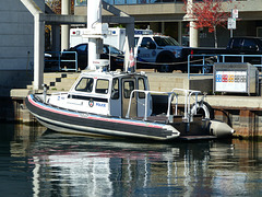 At The Police Basin (1) - 23 October 2014
