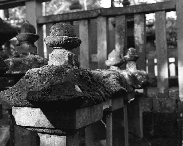 Stone lantern with thick moss