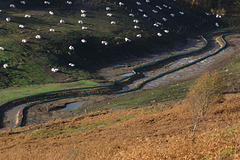 The new river bed for Hurst Brook , Glossop The new river bed for Hurst Brook , Glossop