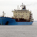 Öl u. Chemiekalientankschiff  MAERSK BORNEO