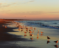 Plage de Monte Gordo.