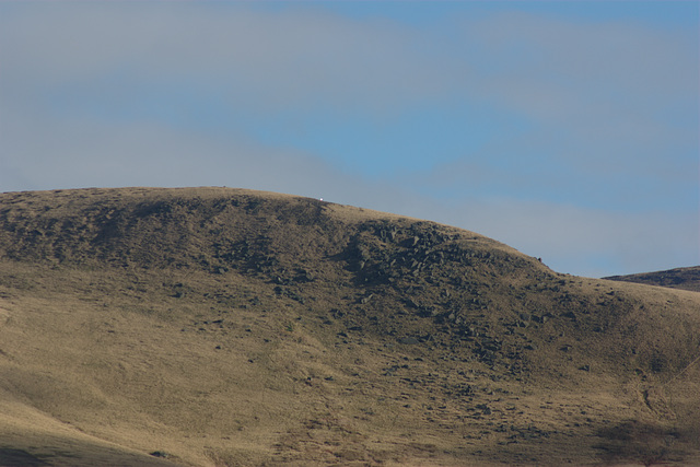 James's Thorn on Bleaklow