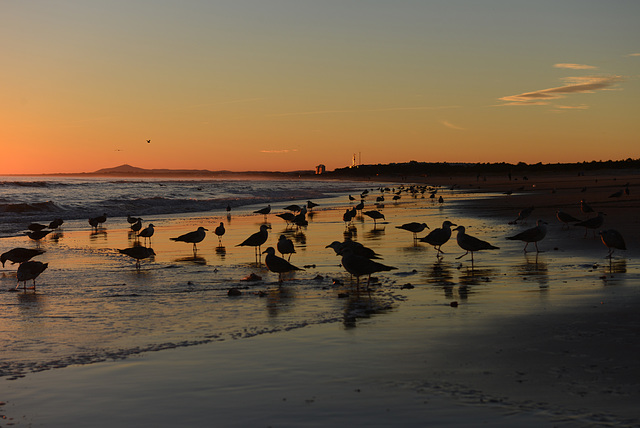 Plage de Monte Gordo