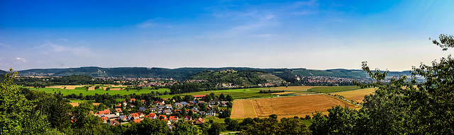 Das Neckartal bei Gundelsheim ... (045°)