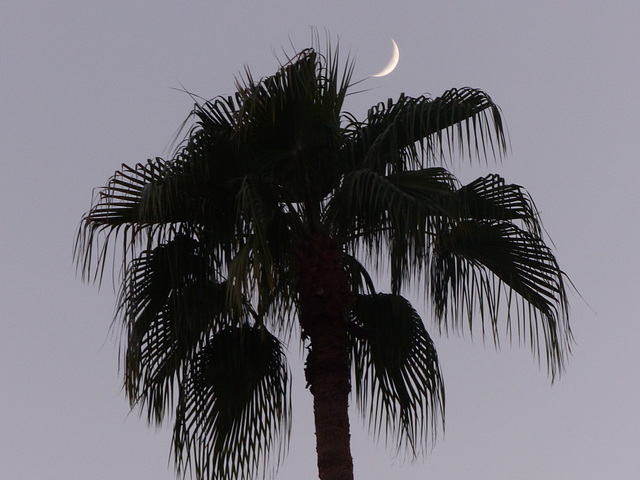 Playing With The Moon (1) - 27 October 2014