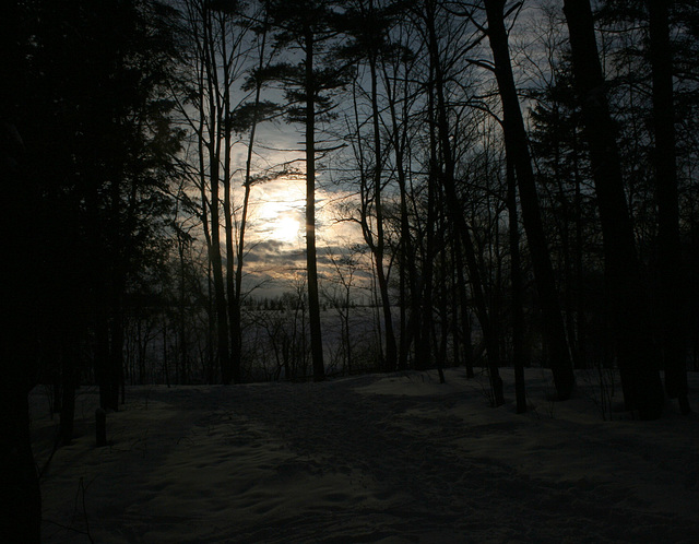 dans le noir/in the dark