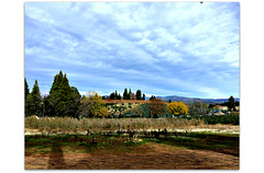 Apple Hill View
