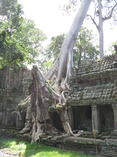 Preah Khan : la 3e enceinte côté est.