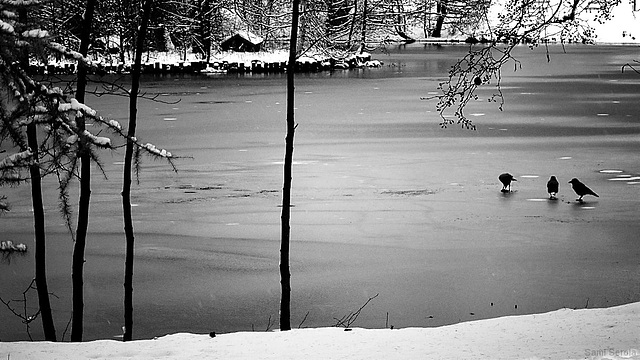 Standing on water