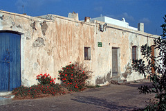 Parque National Cabo de Gata  - Rodalquilar