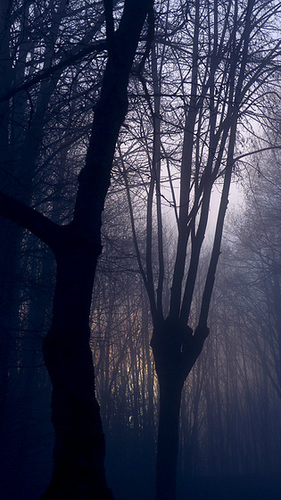 et la nuit, ils dansent !