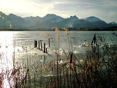 Winter am zugefrorenen Hopfensee. ©UdoSm